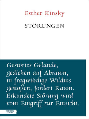 cover image of Störungen